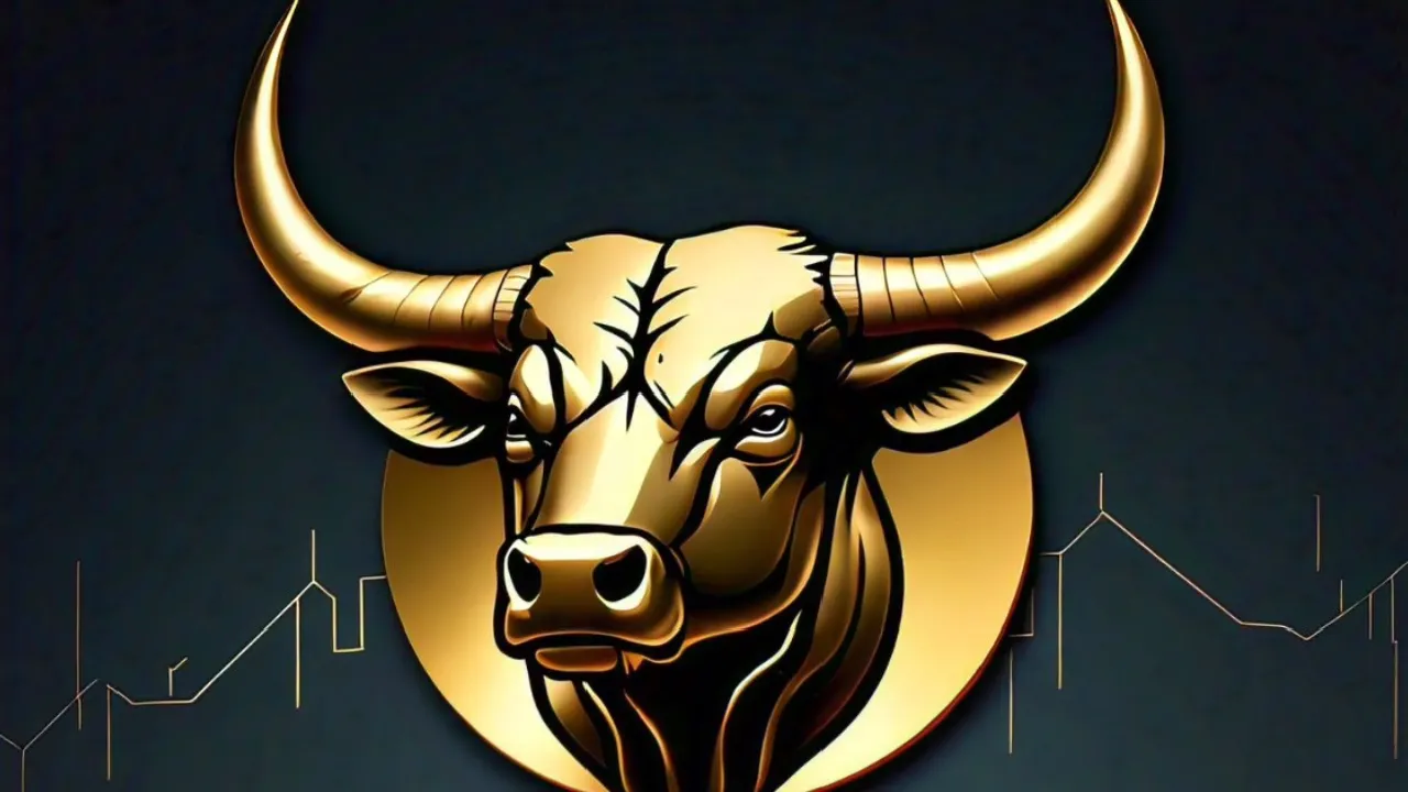 Bitxage