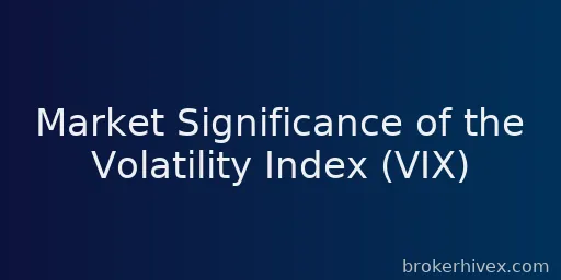 변동성 지수(VIX)의 시장 중요성