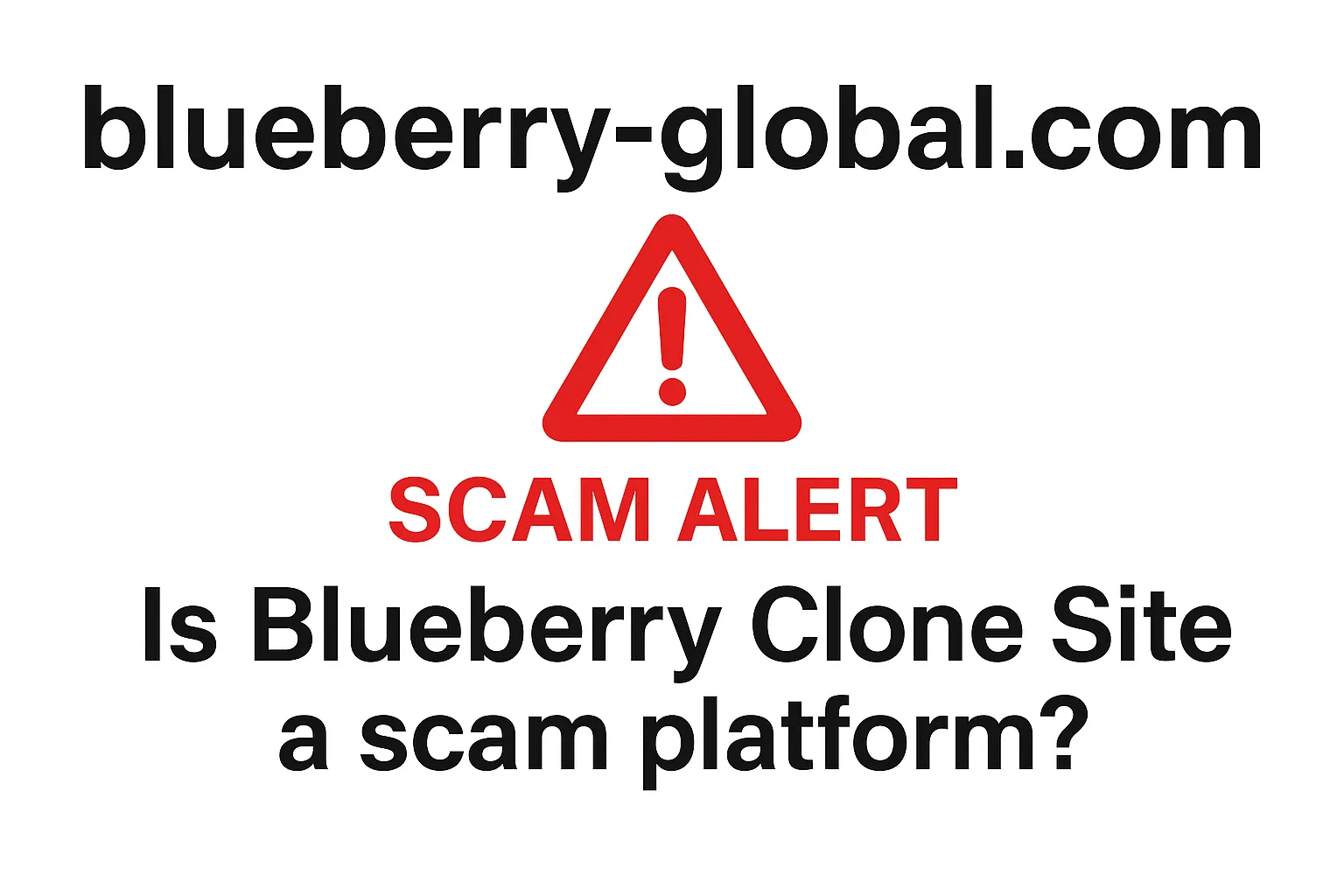 blueberry-global.com In-Depth Warning | Blueberry Clone Site Exposed: Is This a Scam? A Complete Analysis of Regulatory Compliance and Investor Risks