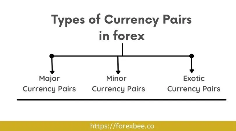 Understanding Forex Currency Pairs: A Beginner's Guide to Majors, Minors, and Exotics