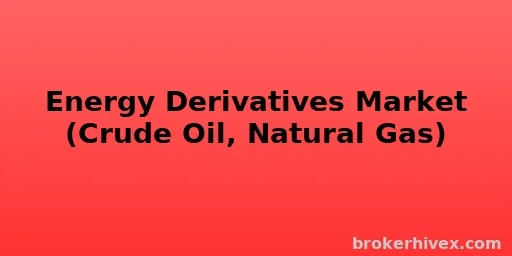 에너지 파생상품 시장(원유, 천연가스) | 에너지 파생상품 거래의 위험 및 수익 분석