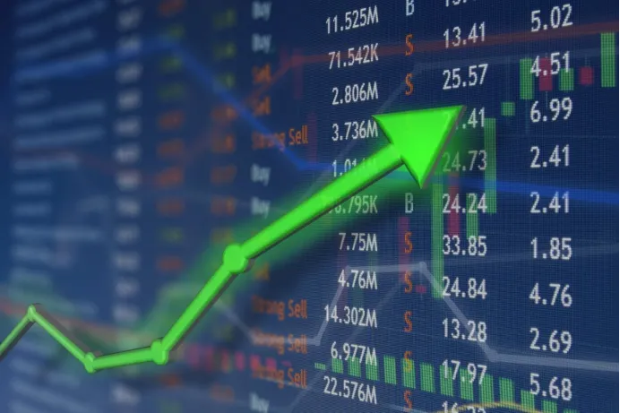 Risk Management in Forex Trading: Tips from BrokerHiveX